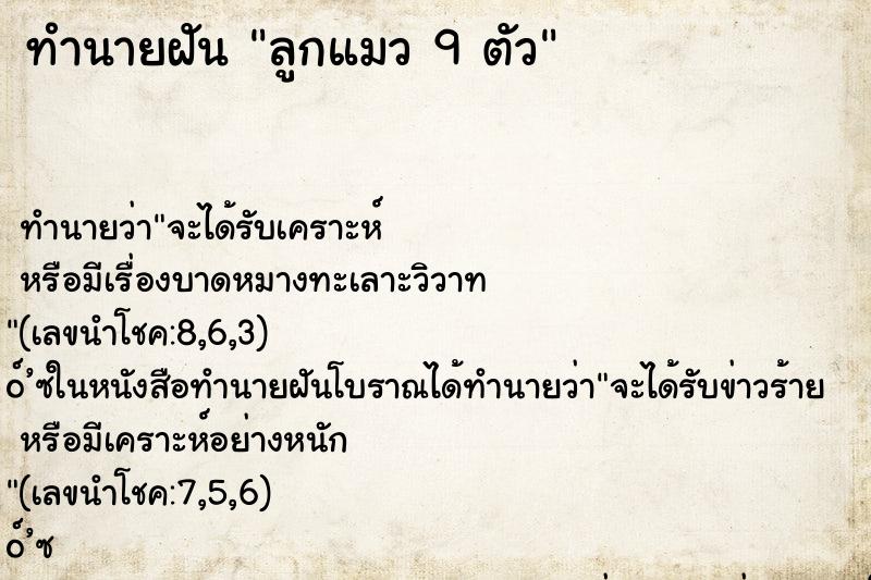 ทำนายฝัน ลูกแมว 9 ตัว